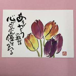 今年は暖冬なので春の花も早く顔を見せてくれそうですね