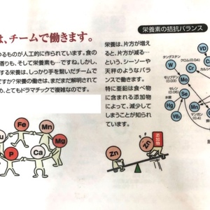 ミネラルはバランス良くとりましょう