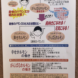 春は陽気も明るくなって心がウキウキする時期ですが　