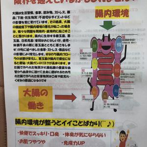 腸内環境を整える事が大切です