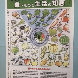 暑さで食欲も落ちていませんか　季節に合った食材表です