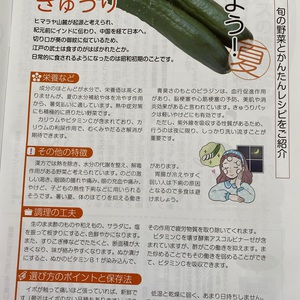 夏の野菜