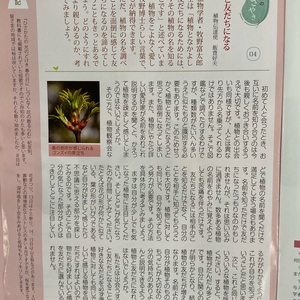 植物と友達になろう