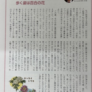 こころと身体の癒やし方