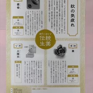 秋の気疲れ