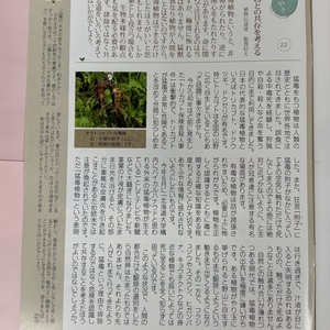 植物のささやき