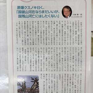 こころと身体の癒やし方