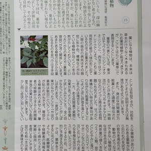 植物のささやき