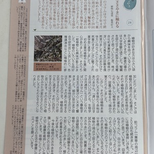 植物のささやき